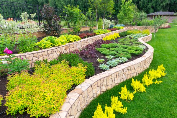 Las Cruces Landscaping