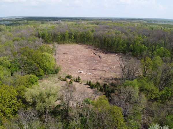 Las Cruces Land Clearing